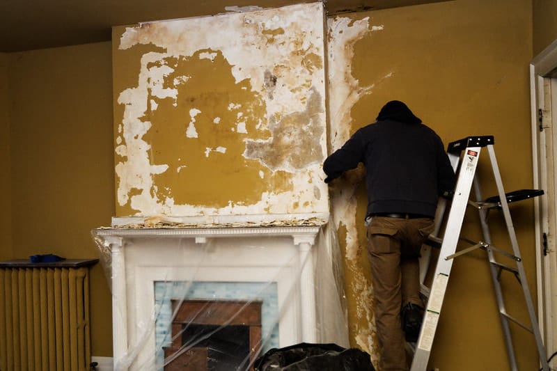 mould on wall removal