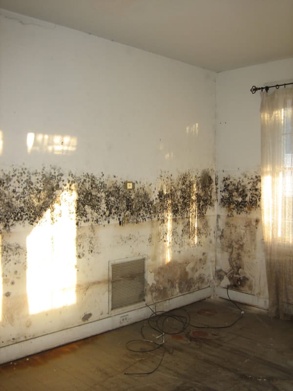 mould hetting ready to be removed